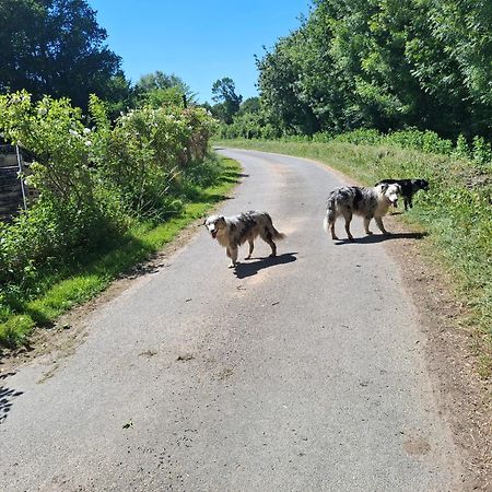 Le Mouton Blaison Exterior foto